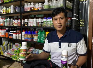 Alumni Tremas Sukses Kembangkan Usaha Pertanian, Inspirasi bagi Santri Fuad Fadli, alumni Pondok Tremas tahun 2012